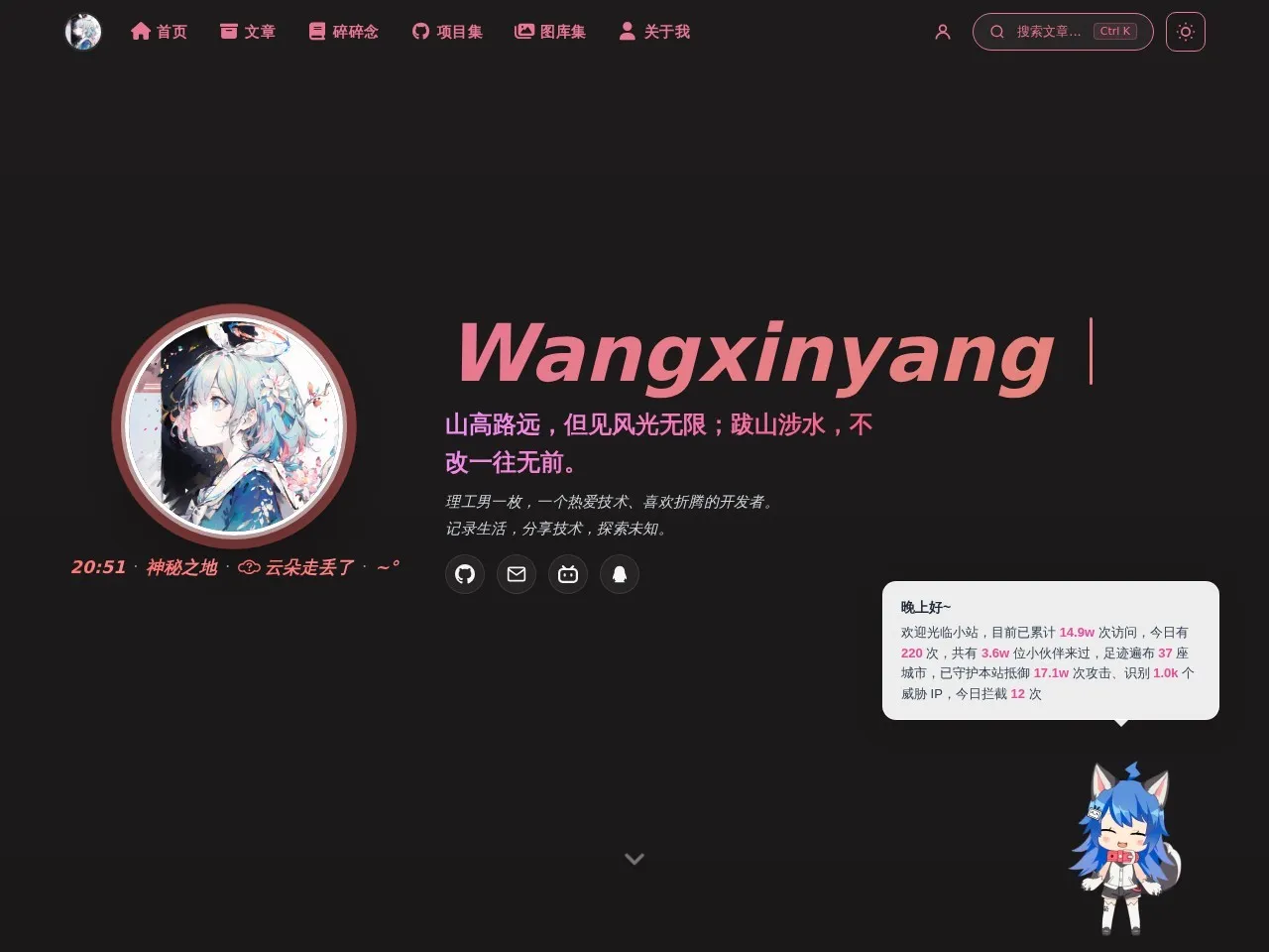 Wangxinyang 的首页快照