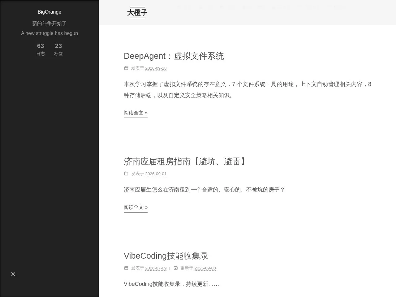大橙子的知识杂货铺 的首页快照
